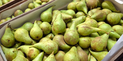 Я продаю конференции от 6,5 до 8, средние от