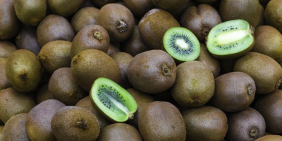 Kiwifruitul de aur (verzuie) are o piele netedă, din
