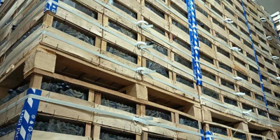 Direkt vom Erzeuger, optimal gekühlt gelagert &gt; Verpackung: 8-kg-Kiste