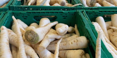 Vând pătrunjel spălat, diverse soiuri, posibilitate de transport, tel.