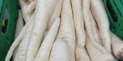 Vând pătrunjel spălat, diverse soiuri, posibilitate de transport, tel.