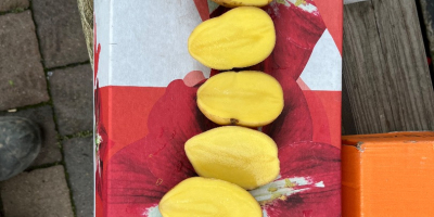 Vendo patate commestibili con test PHYTO. Quantità per camion.