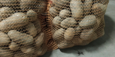 Eladó wineta és jolly krumplim, ajánlom.