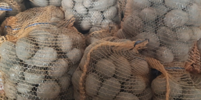 Eladó wineta és jolly krumplim, ajánlom.