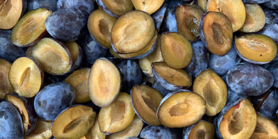 Jumătăți de prune congelate IQF pentru procesare industrială și