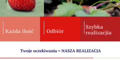 Voi cumpăra o căpșună.