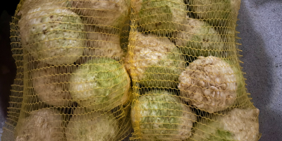 Pentru toate informațiile, contactați Mail: [adresă de e-mail]