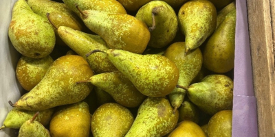 I will sell 6+ 3.5 7+ 4.5 approx. 120