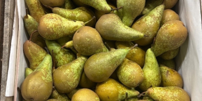 I will sell 6+ 3.5 7+ 4.5 approx. 120