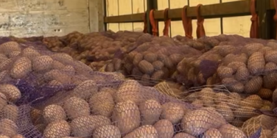 Продавам ядливи картофи от следните сортове: GALA, QUENN ANNA,