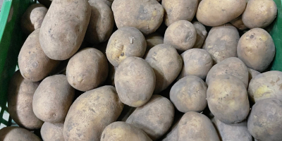 Guten Tag, Wir verkaufen Speise- Kartoffel, gewaschen oder ungewaschen,