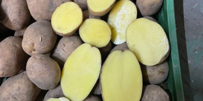Salve, vendiamo patate da consumo, lavate o intere, confezionate