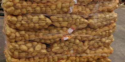 Salve, vendiamo patate da consumo, lavate o intere, confezionate
