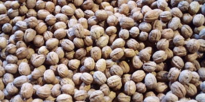 Noci Franquette secche e sgusciate in vendita sfuse. Queste