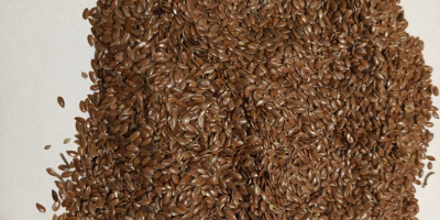 Нудимо куповину био смеђег ланеног семена, чистоће од мин.