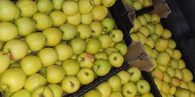 I will sell Idareta 65+ quantity of trucks and