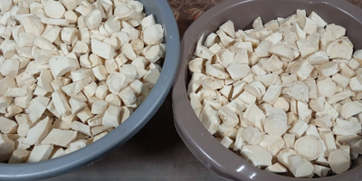 Hrean de casă de vânzare În rădăcini În borcane