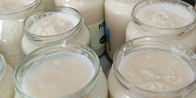 Hrean de casă de vânzare În rădăcini În borcane