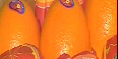 Sehr geehrte Damen und Herren, wir sind ein ägyptisches