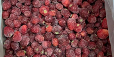 Căpșuni congelate din Kârgâzstan (IQF) Căpșunile noastre congelate sunt