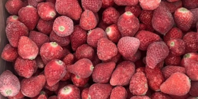 Căpșuni congelate din Kârgâzstan (IQF) Căpșunile noastre congelate sunt