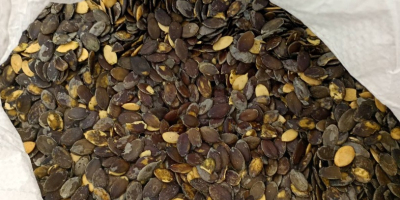 Ich werde Gleisdorfer Kürbiskerne verkaufen