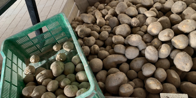 Egyéni vállalkozó vagyok és egy gazdaságot üzemeltetek Lengyelországban (Szilézia