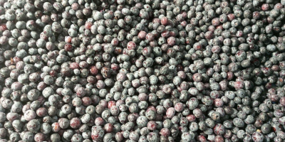 Продавам 40 тона замразено културно рафиниране с най-високо качество.