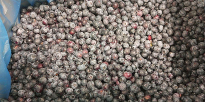 Продавам 40 тона замразено културно рафиниране с най-високо качество.