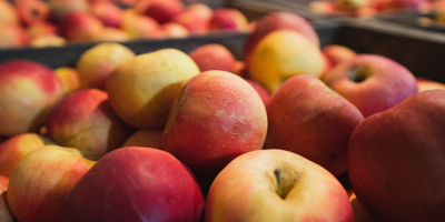 Mele Idared in vendita. Pietrari, Dâmbovița. Circa 5 tonnellate