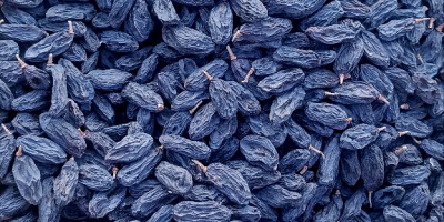 Üzbegisztáni fekete mazsola, természetes módon, napon szárított szőlőből készül.