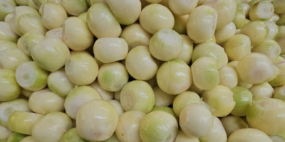 Bună dimineața. Doresc să stabilesc o cooperare pe termen