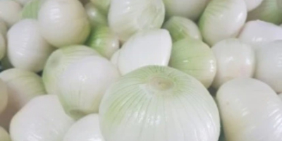 Bună dimineața. Doresc să stabilesc o cooperare pe termen