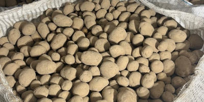 I'm selling Vineta ware potatoes. These potatoes are certified