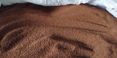 Ich verkaufe Nachtkerzensamen, Ernte 2025, trockene Samen ohne Verunreinigungen,