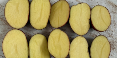 Жути и црвени кромпир, краљица Ана, Коломбо, Лили Есме,