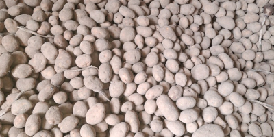 Kartoffelpüree, Pommes und Kartoffeln essen, gute Qualität, en vrac