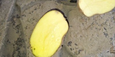 Kartoffelpüree, Pommes und Kartoffeln essen, gute Qualität, en vrac