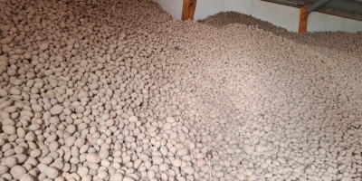 Kartoffelpüree, Pommes und Kartoffeln essen, gute Qualität, en vrac