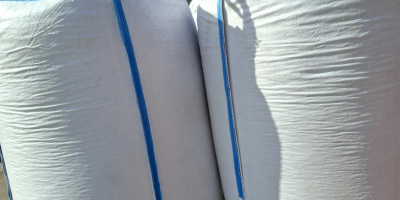 Продајем пуне камионе патуљастог пасуља. Паковање по жељи: 10