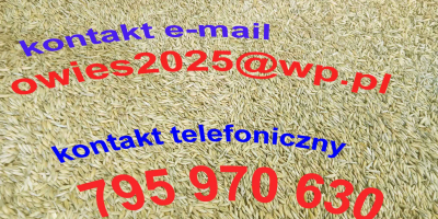 Vendo avena del raccolto 2025. Ho circa 15 tonnellate