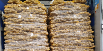 НА ПРОДАЈУ - Кромпир са ФИТО тестирањем доступан. Камионске