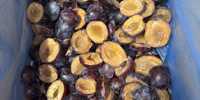 Всички наши продукти са без ГМО, произведени са в