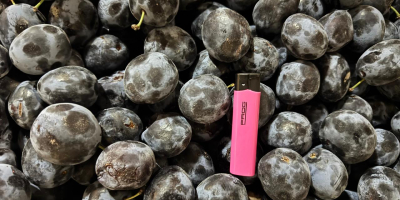 Всички наши продукти са без ГМО, произведени са в