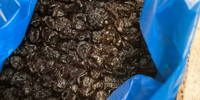 Ich verkaufe getrocknete Pflaumen der Sorte Ashlock 90/100. Herkunftsland: