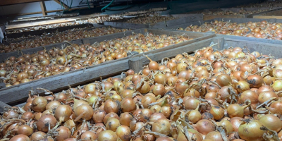 We are an Austrian company and sell high-quality yellow