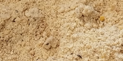 PHUT SIEMBIDA MAREK Potok Wielki 130A, 23-313 Potok Wielki