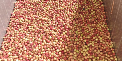 Ще купя екологична индустрия - червено / зелено