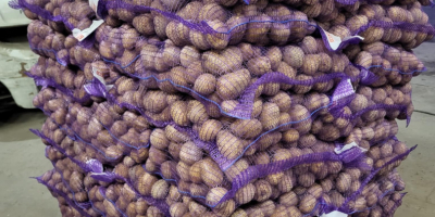 I'm selling Gala 45+ potatoes. They're washable and packed