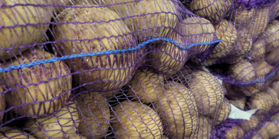 I'm selling Gala 45+ potatoes. They're washable and packed